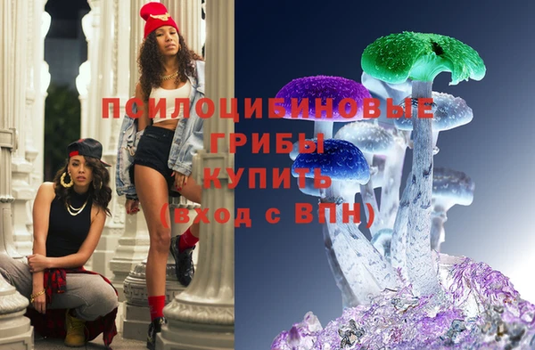 СК Кинешма
