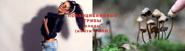 СК Кинешма