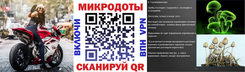 Купить где  Кашин  Псилоцибиновые грибы GOLDEN TEACHER 