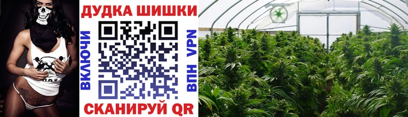 Конопля индика  Купить  Кашин 